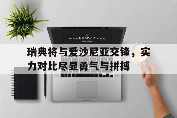 瑞典将与爱沙尼亚交锋，实力对比尽显勇气与拼搏的简单介绍